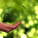 eco