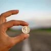 トラック購入時に使える補助金制度とは？